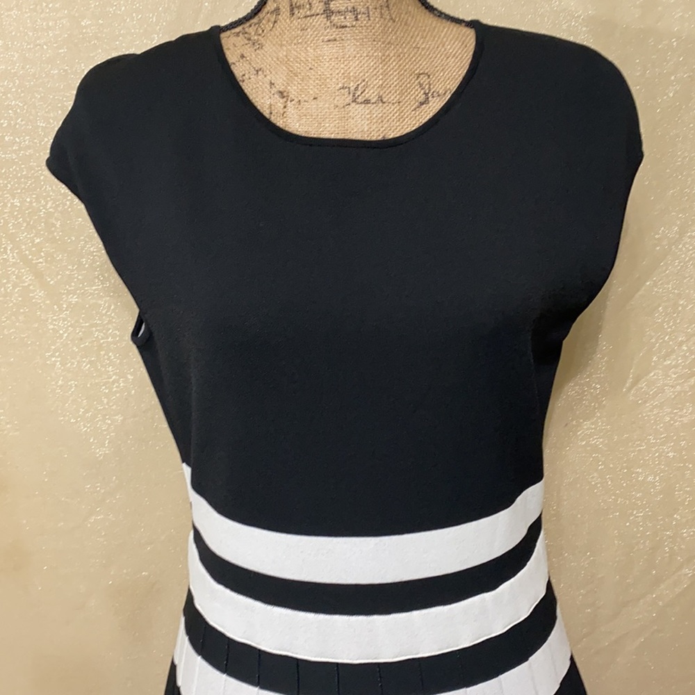 Carolina Herrera Dress